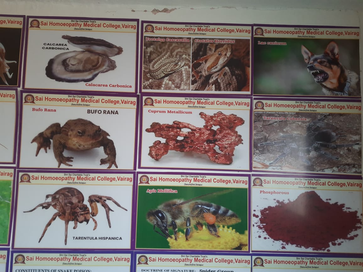 Materia Medica Library image